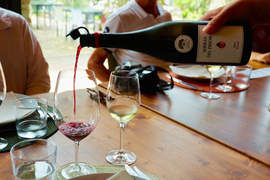 From Barcelona: Priorat's Exclusive Cellars, Wines & Nature - The two-hour drive from Barcelona