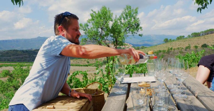 From Barcelona: Priorat's Exclusive Cellars, Wines & Nature - A shorter cellar visit and lunch in Priorat