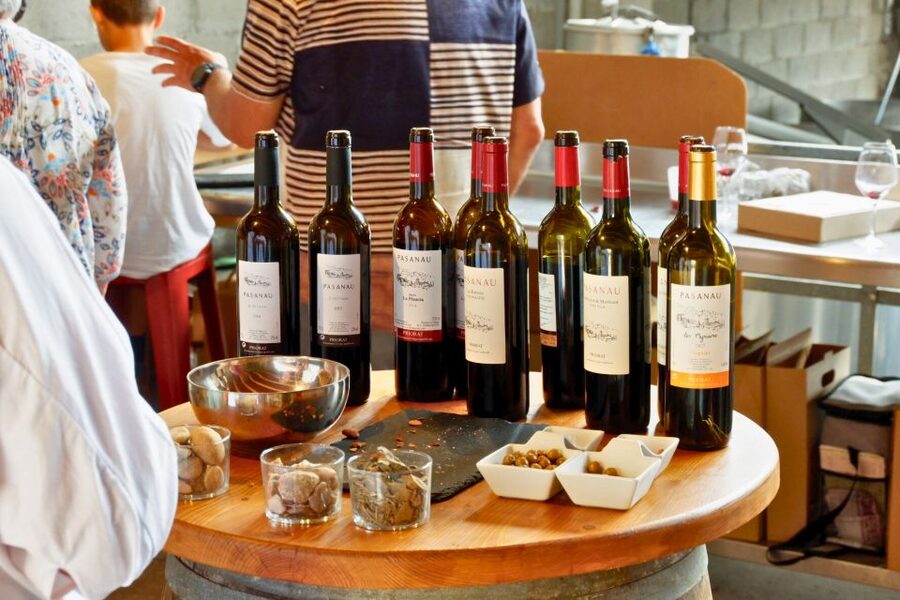 From Barcelona: Priorat's Exclusive Cellars, Wines & Nature - Who should choose this Priorat day trip