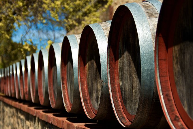 From Barcelona: Wine Cellar Visit in Penedes with Tasting - Seeing wine made, not just poured