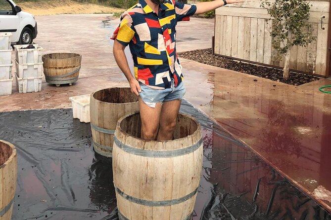 From Barcelona Wine Tasting in 2 Priorat Wineries and Food - The guides and the sense of place