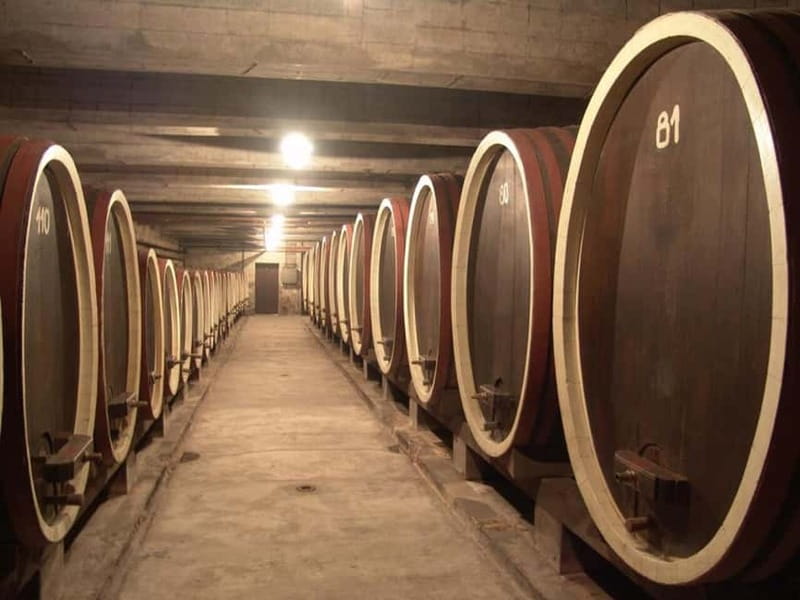 From Belgrade: Oplenac mausoleum Royal tour with winery - The one-hour ride from Belgrade