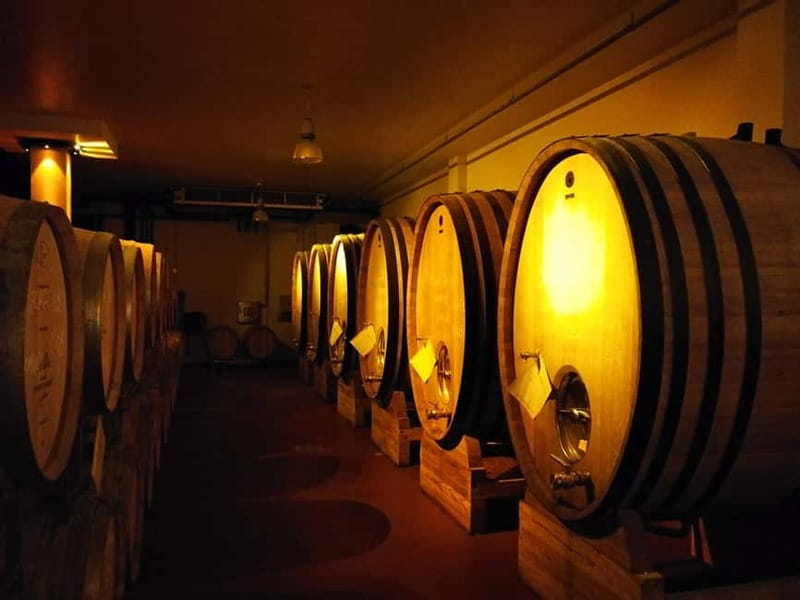 From Belgrade: Subotica and Palic Full-Day Trip with winery - Subotica’s Art Nouveau center in 2.5 hours