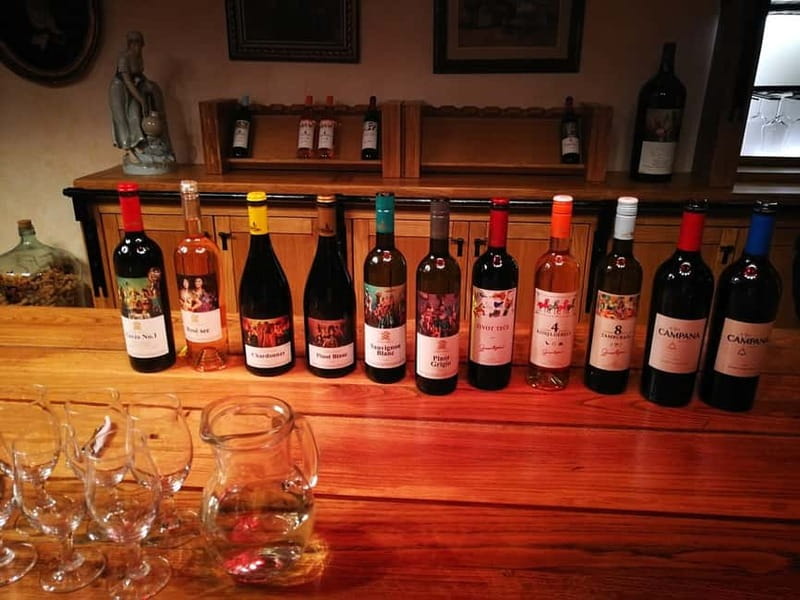 From Belgrade: Subotica and Palic Full-Day Trip with winery - Palić Lake after Subotica