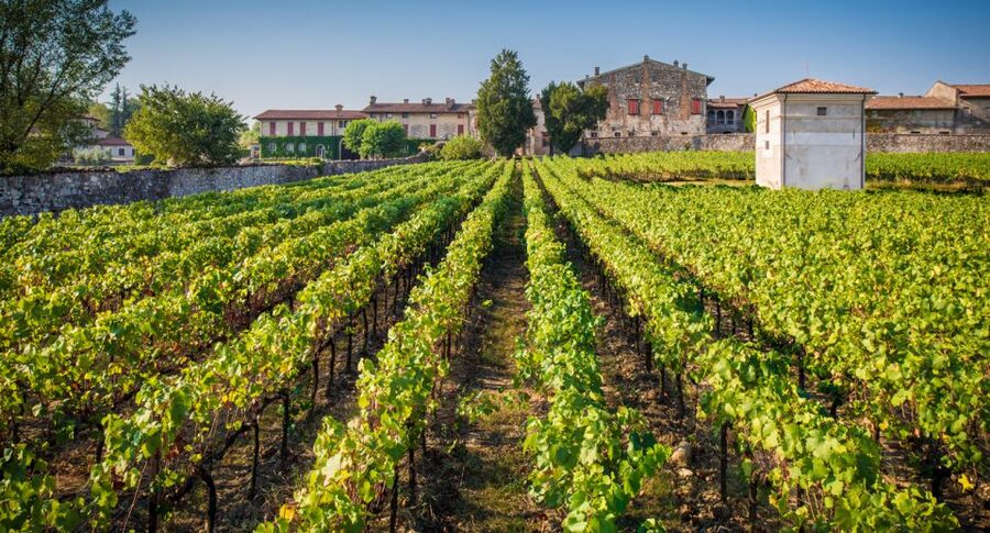 From Bergamo: Winery Tour in Franciacorta with Lunch - Why Franciacorta makes a good day trip from Bergamo