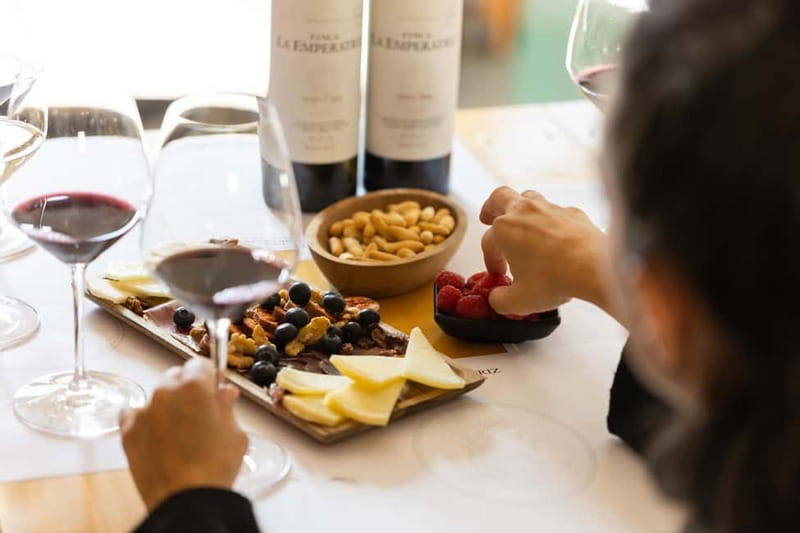 From Bilbao: La Rioja a journey to the vineyards & tradition - Key points at a glance
