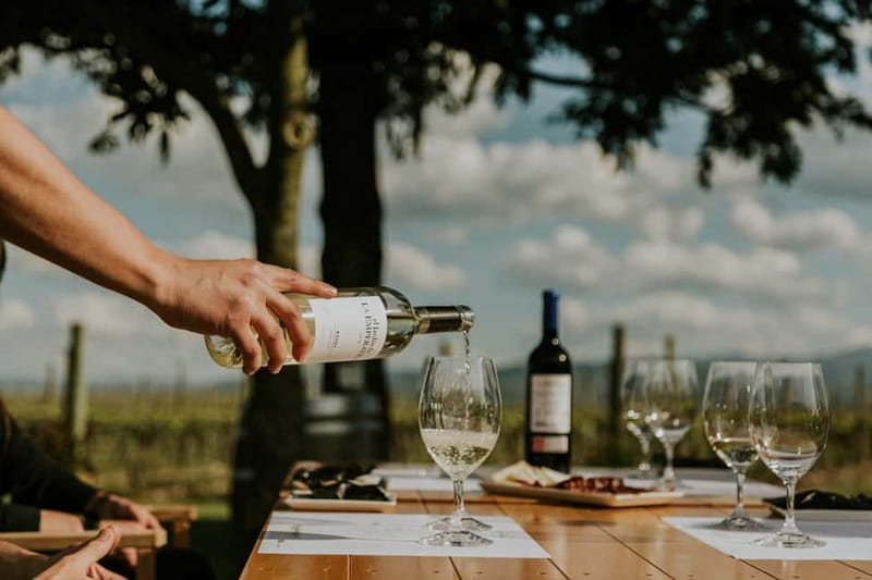 From Bilbao: La Rioja a journey to the vineyards & tradition - Leaving Bilbao for Rioja Alavesa