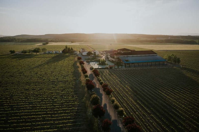 From Bilbao: La Rioja a journey to the vineyards & tradition - A cellar beneath Laguardia