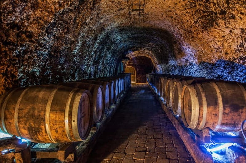 From Bilbao: La Rioja a journey to the vineyards & tradition - Timing, comfort, and practical limits