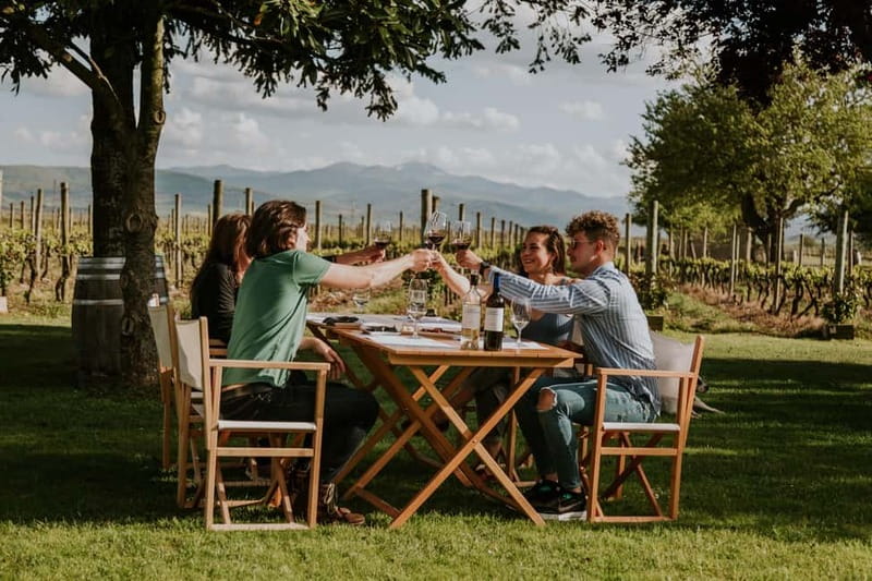 From Bilbao: La Rioja a journey to the vineyards & tradition - The first winery, among the vines