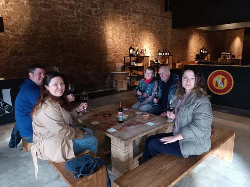 From Bilbao: La Rioja Wineries Day Trip with Wine Tastings - The guide can make or break the day