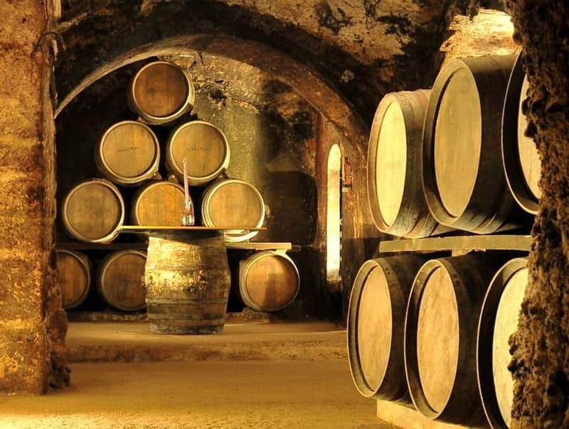 From Bilbao: Rioja Wine Region with Winery & Vitoria-Gasteiz - Inside the Underground Bodega