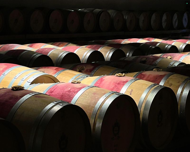 From Bordeaux: Essential Morning Tour with Wine Tasting - What $81 gets you