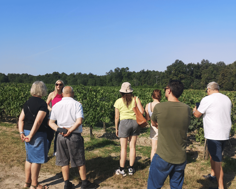 From Bordeaux: Médoc & Margaux Wine Tour Classified Growths - Why this Médoc tour works well from Bordeaux