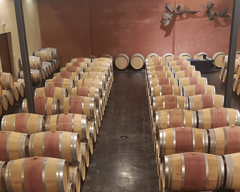From Bordeaux: Médoc & Margaux Wine Tour Classified Growths - Practical details before you reserve