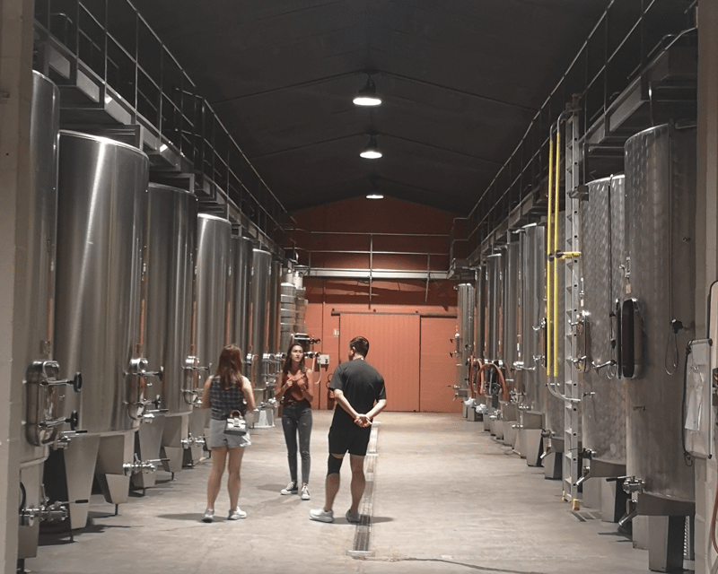 From Bordeaux: Médoc & Margaux Wine Tour Classified Growths - A small van and a useful meeting point