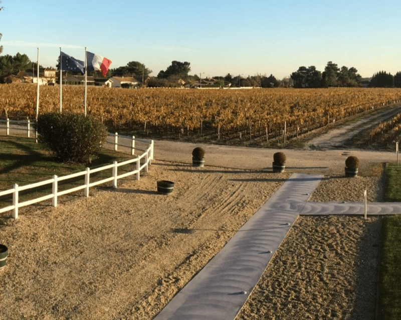 From Bordeaux: Médoc & Margaux Wine Tour Classified Growths - Second stop: Margaux and the 1855 classification