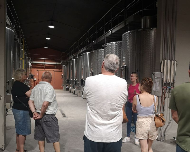 From Bordeaux: Médoc & Margaux Wine Tour Classified Growths - Is $89 good value?