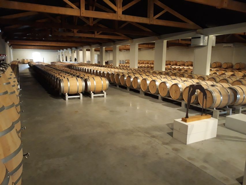 From Bordeaux: Médoc Vineyard and Chateau Tour by Sidecar - My verdict on this Médoc sidecar ride