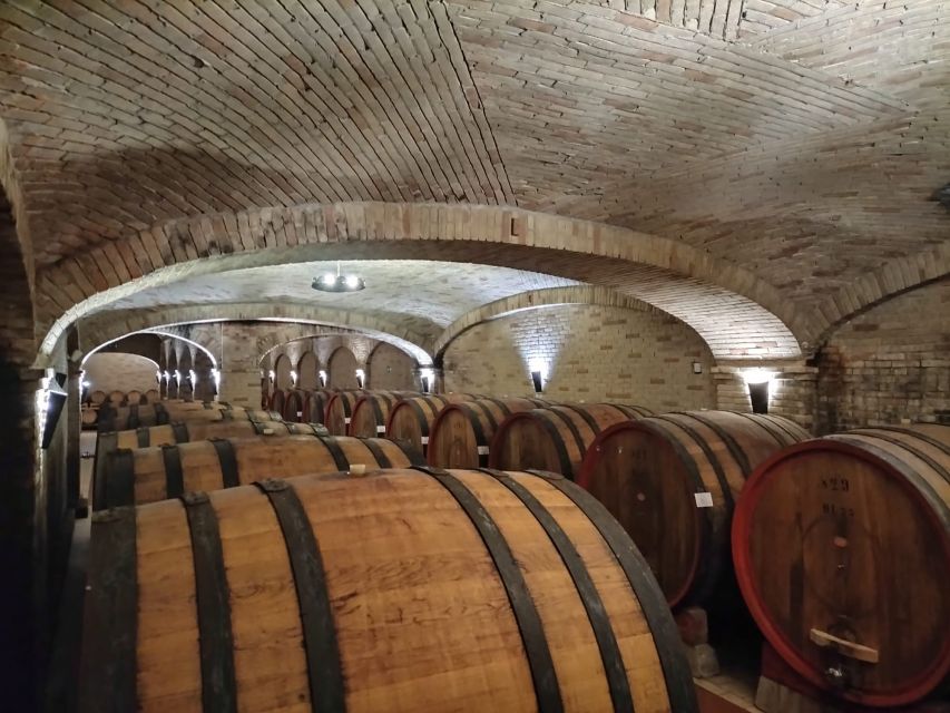 From Cagliari: Wine Cellar Tour with Tastings - Key points to know before booking