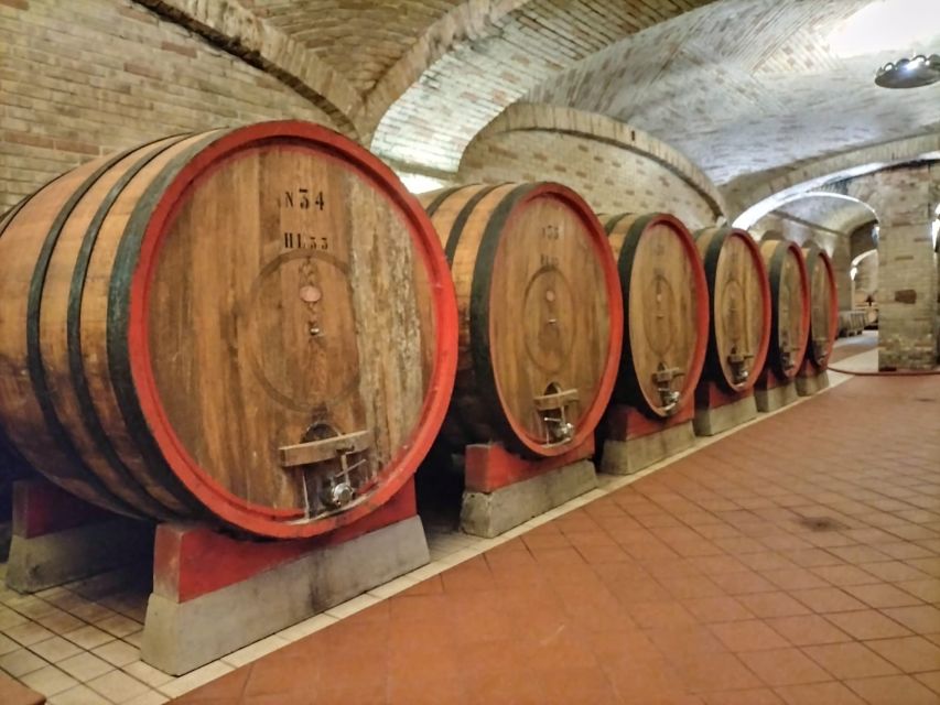 From Cagliari: Wine Cellar Tour with Tastings - Inside the cellar