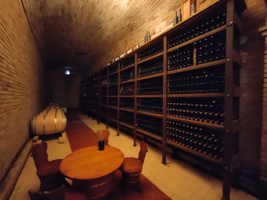 From Cagliari: Wine Cellar Tour with Tastings - Walking among the vines