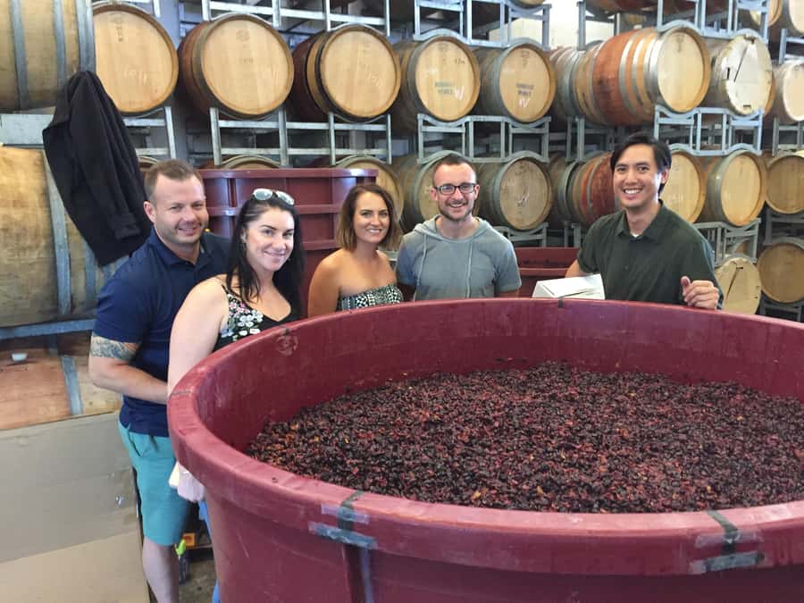 From Canberra: Winery, Distillery, & Tasting Tour with Lunch - What makes this Canberra day trip worth considering