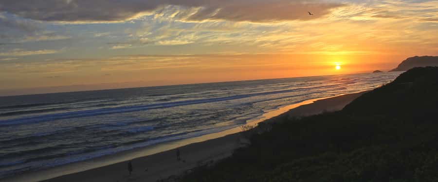 From Cape Town: 7-Day Garden Route, Addo and Winelands Combo - Key points at a glance