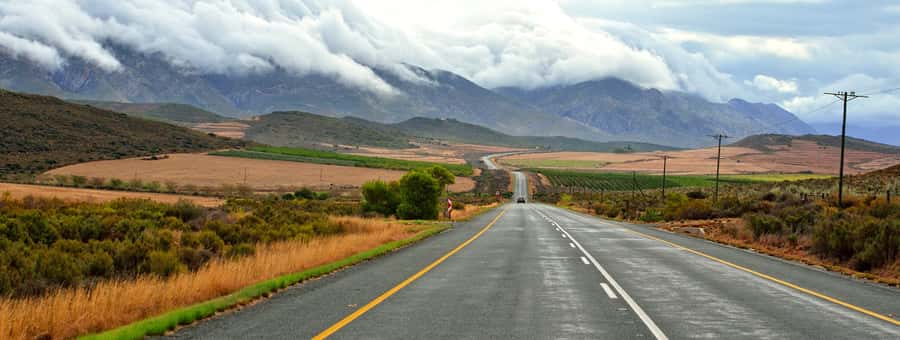 From Cape Town: 7-Day Garden Route, Addo and Winelands Combo - Day 2: Chapman’s Peak, Cape Point, and Boulders Beach