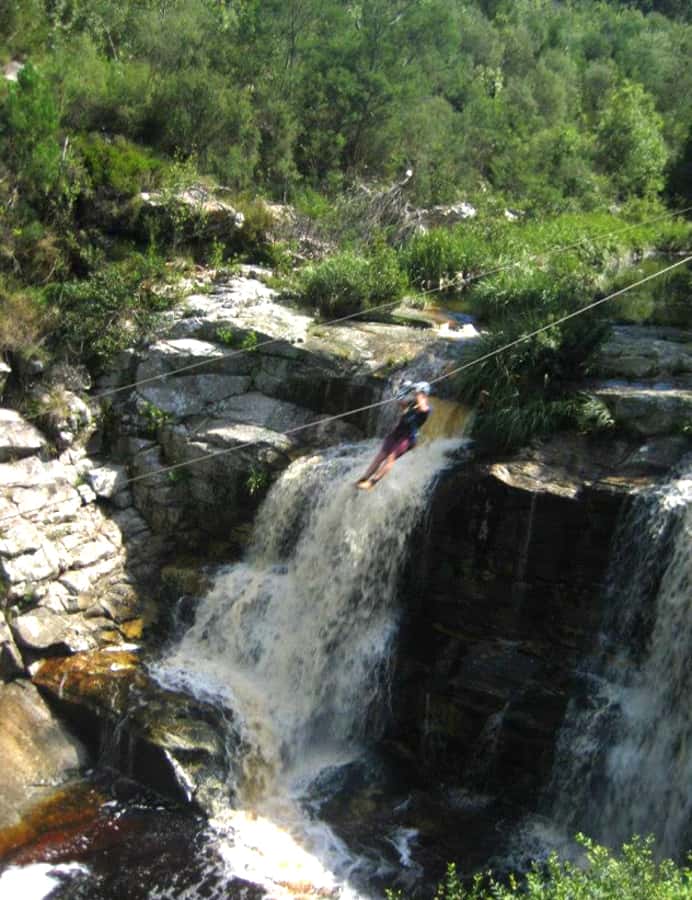 From Cape Town: 7-Day Garden Route, Addo and Winelands Combo - Day 7: The coast back to Cape Town