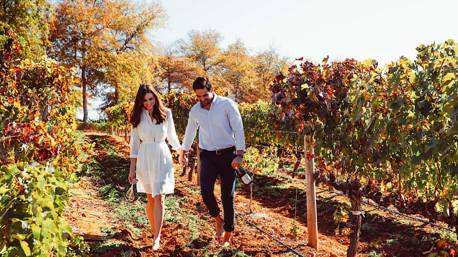 From Cape Town: Cape Winelands Full-Day Private Tour - Why this Cape Winelands route works