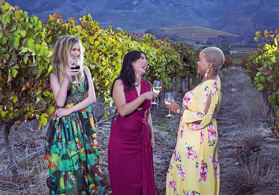 From Cape Town: Cape Winelands Full-Day Private Tour - Marianne Wine Estate and the biltong pairing