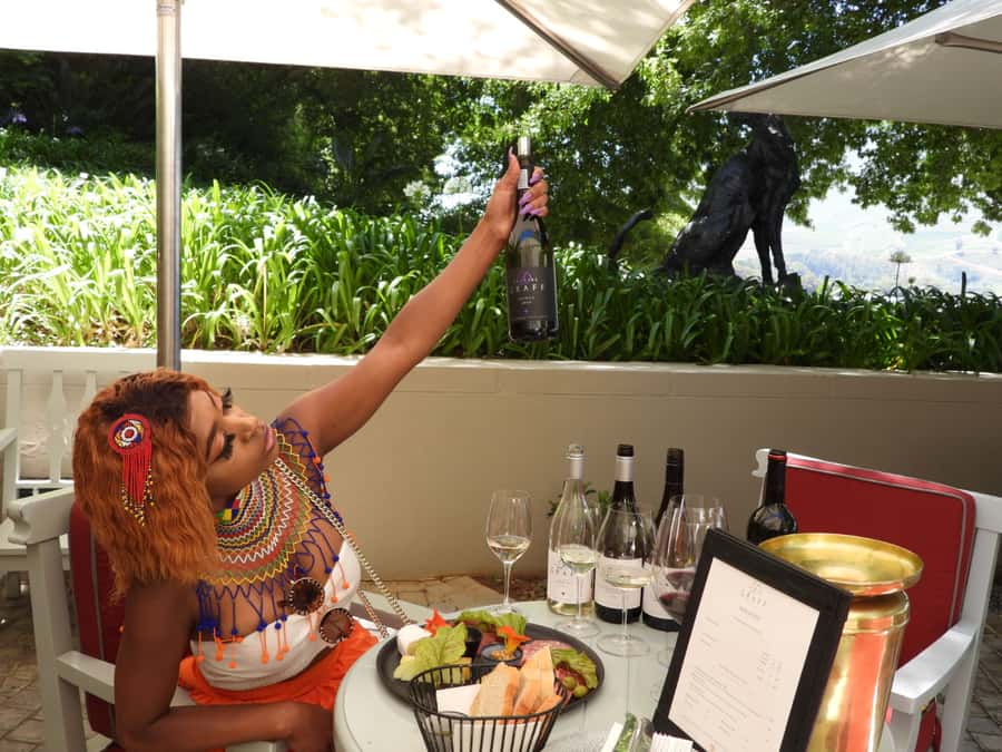 From Cape Town: Cape Winelands Full-Day Private Tour - Franschhoek, Huguenot history and MCC