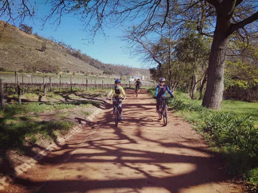From Cape Town: Franschhoek Vineyards Bike Tour with Lunch - Riding the vineyard roads