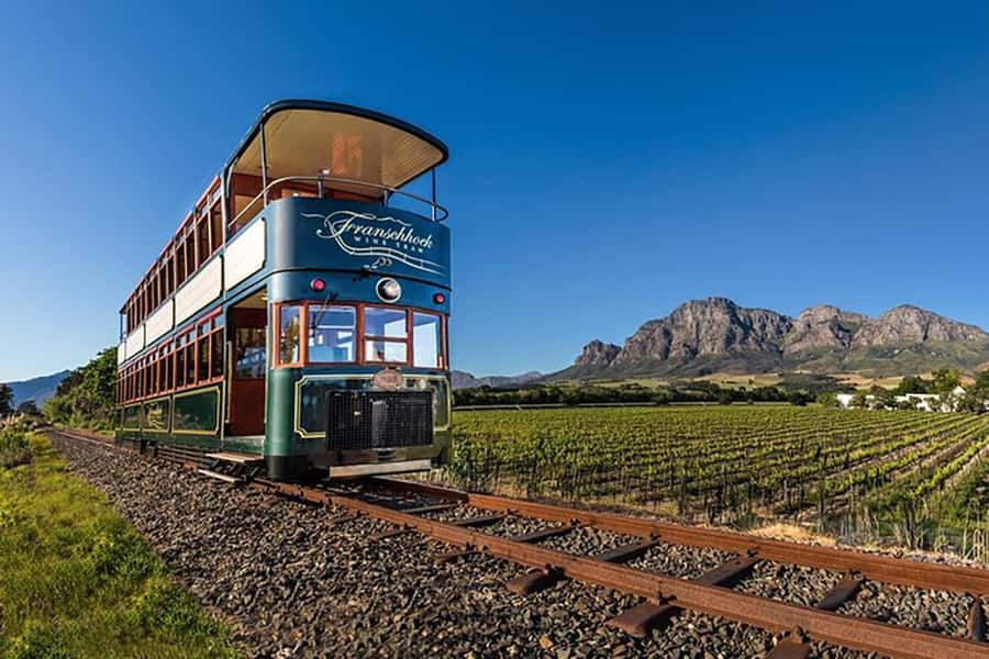 From Cape Town: Full-Day Cape Winelands Taste Tour + Tram - Key points at a glance