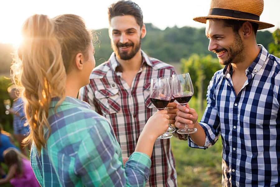 From Cape Town: Full-Day Cape Winelands Taste Tour + Tram - Three wine regions in one long day