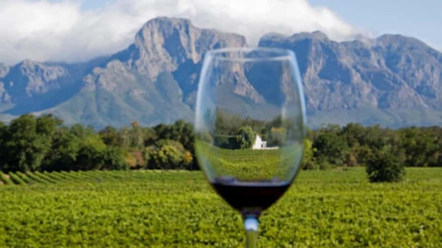 From Cape Town: Full-Day Cape Winelands Taste Tour + Tram - Time to explore Franschhoek