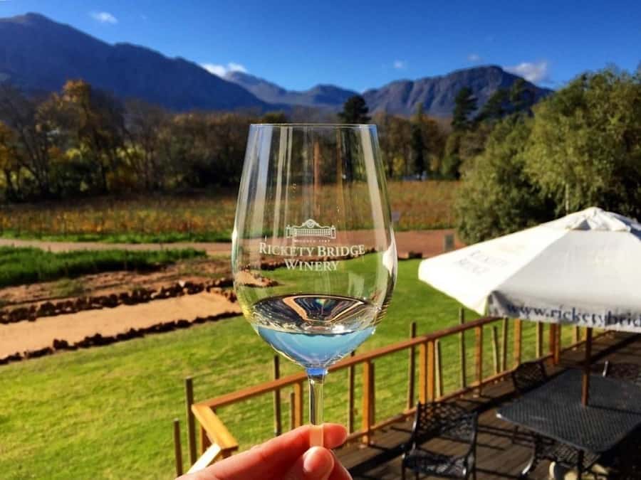 From Cape Town: Full-Day Cape Winelands Taste Tour + Tram - Who will enjoy this tour most