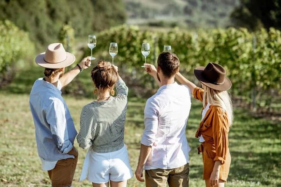From Cape Town: Full-Day Cape Winelands Taste Tour + Tram - Fairview’s cheese and wine pairing