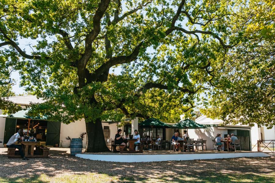 From Cape Town: Full Day Winelands Tour with wine tastings - Key points to know before you book