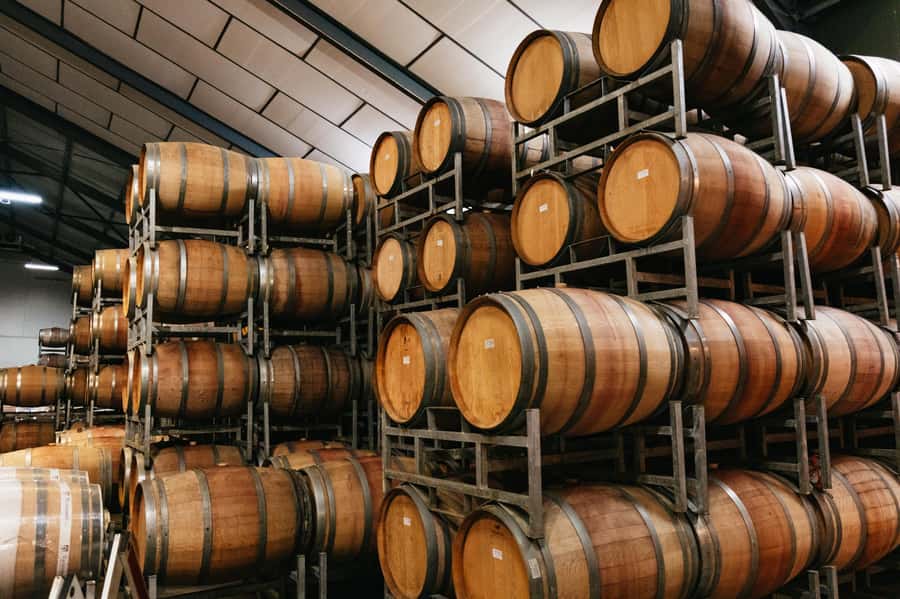 From Cape Town: Full Day Winelands Tour with wine tastings - The short visit to historic Stellenbosch