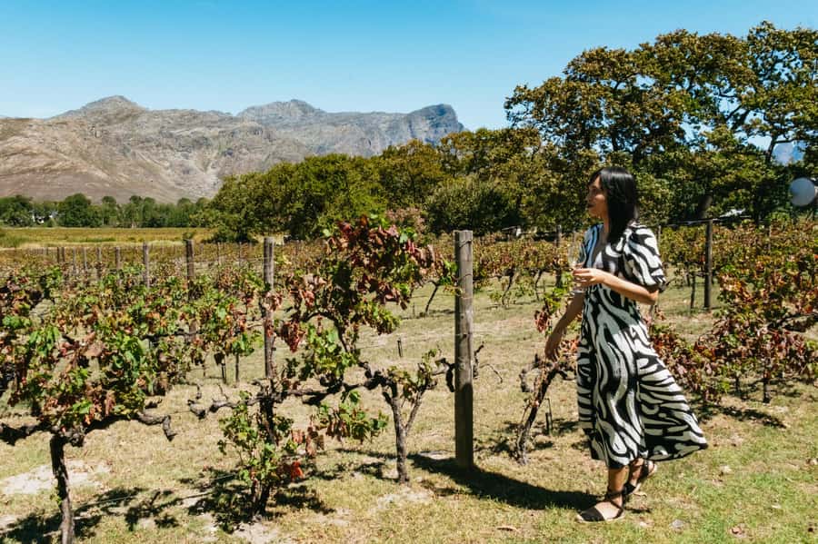 From Cape Town: Full Day Winelands Tour with wine tastings - The ride from Cape Town to Paarl