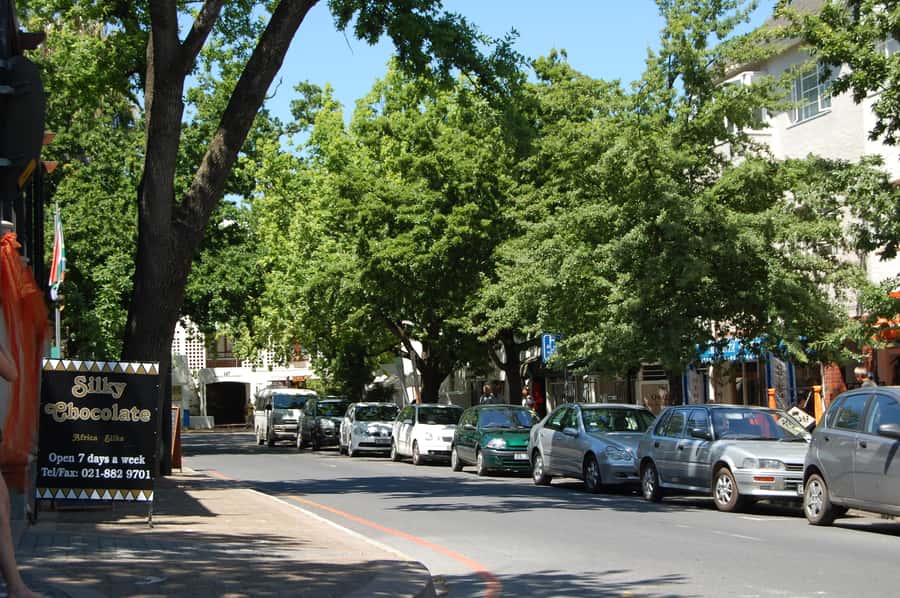 From Cape Town: Half Day Winelands Tour with winetasting - Who should book this tour