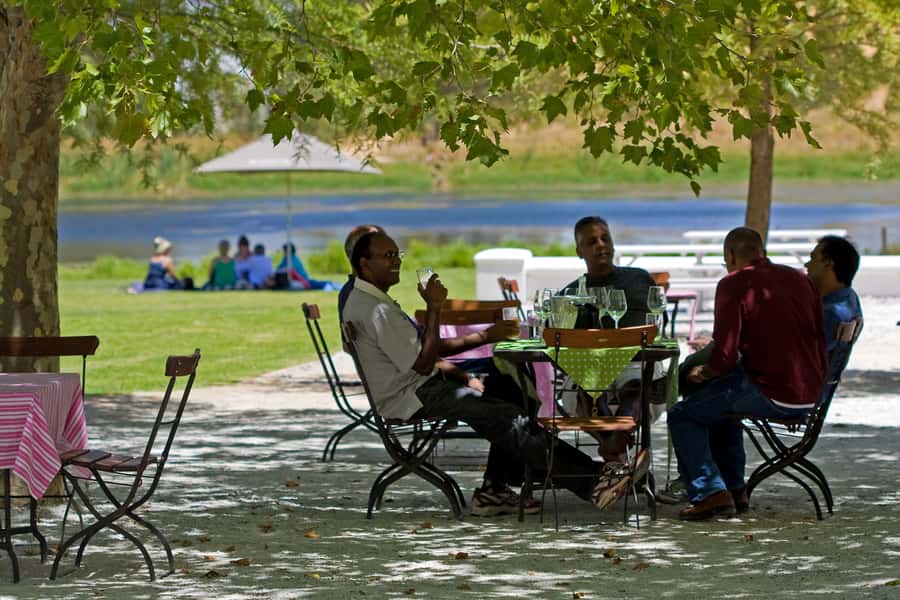 From Cape Town: Half Day Winelands Tour with winetasting - The afternoon schedule from Cape Town