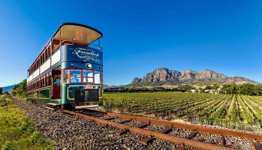 From Cape Town: Winelands Full Day Tour and Wine Tasting - A full day among the Cape Winelands