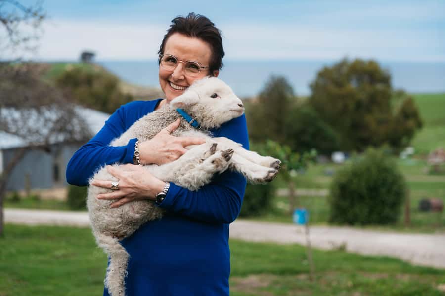 From Christchurch: Sheep Farm Experience with Lunch & Winery - Key points to know before booking