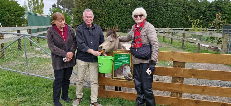 From Christchurch: Sheep Farm Experience with Lunch & Winery - Why Glenafric Farm is the heart of the day