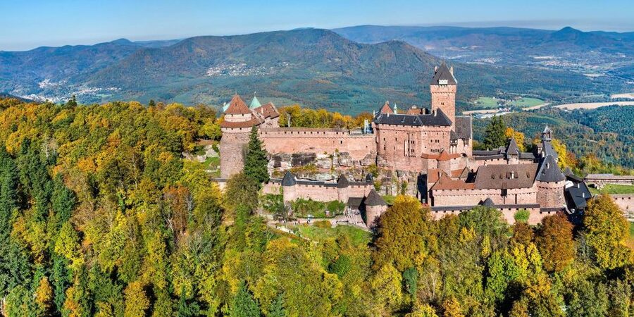 From Colmar: Alsace wine route tour Full Day - The guide can make or break the day