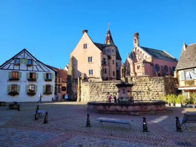 From Colmar: Alsace wine route tour Half Day