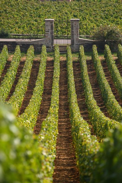 From: Dijon/Beaune: Burgundy Region Winery Tour with Lunch - Montrachet gives the tour a fitting finish